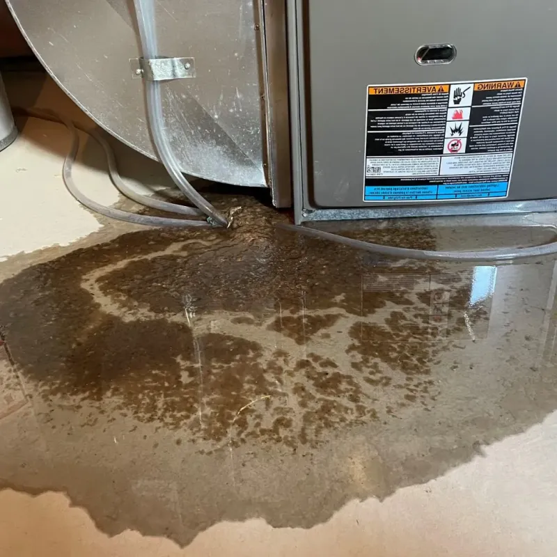 Pipe Burst and Leak Restoration in Golf Manor, OH